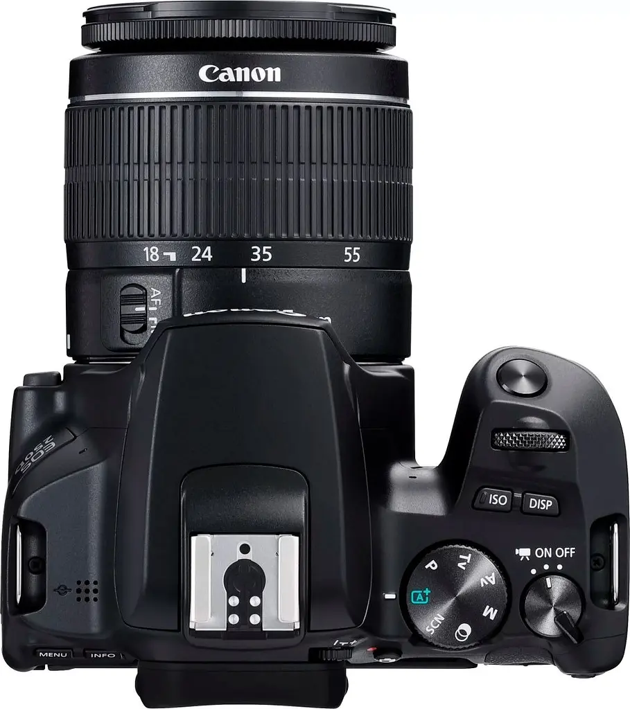 Дзеркальний фотоапарат Canon EOS 250D Kit EF-S 18-55mm f/3.5-5.6 III (3454C009) UA [83558] - фото 9