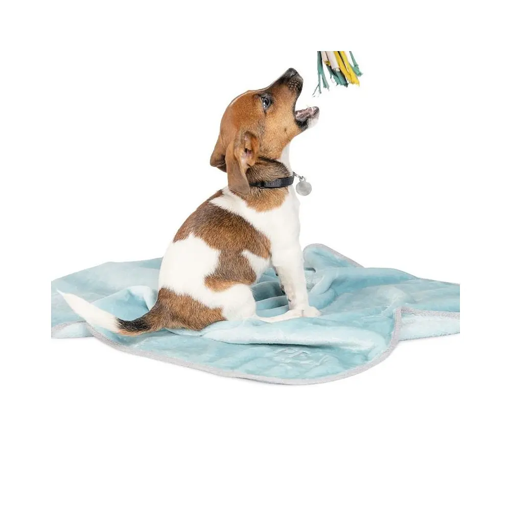Плед Pet Fashion Bliss 1 для собак і котів м ята 77х60 см - фото 2