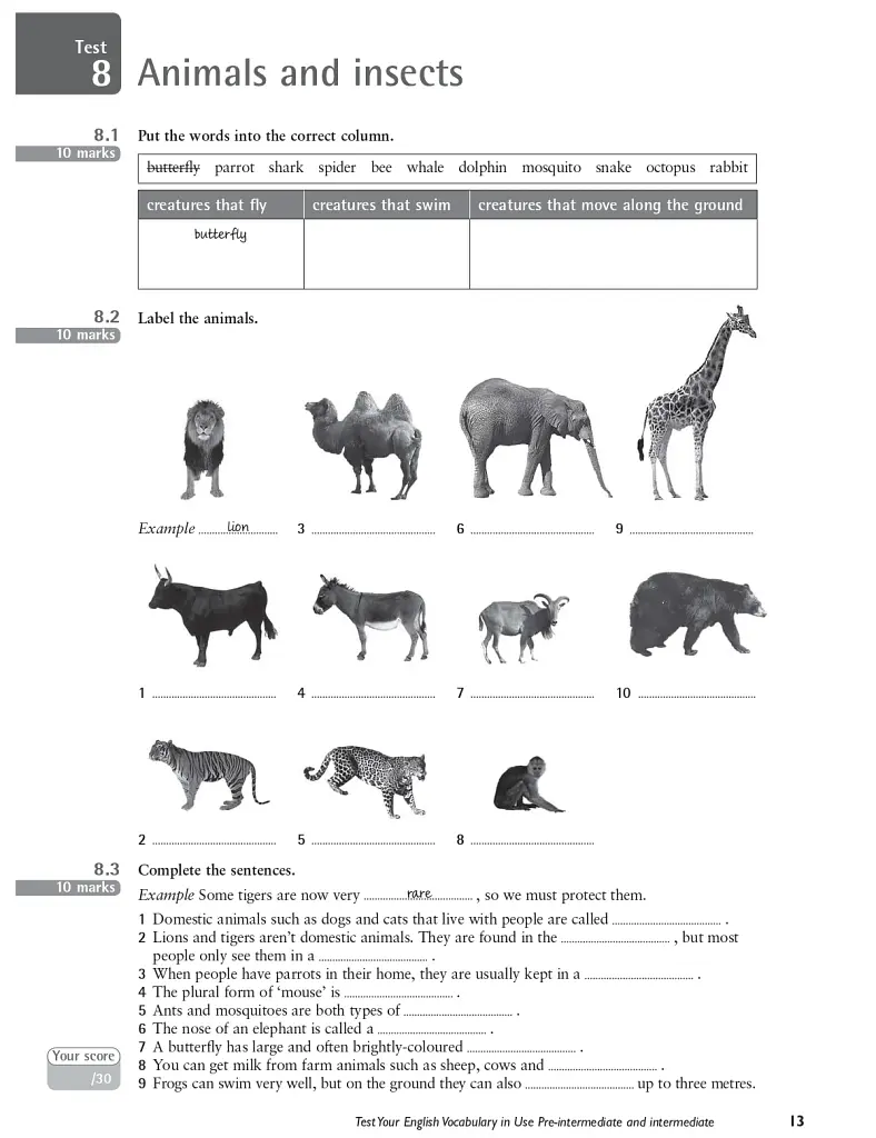 Test Your English Vocabulary in Use Pre-intermediate and Intermediate with Answers 3rd Edition - фото 9