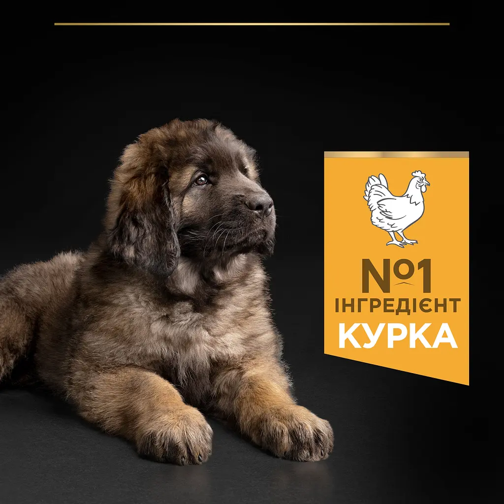 Сухий корм для цуценят великих порід Purina Pro Plan Large Robust Puppy, з куркою, 12 кг (12375805) - фото 6