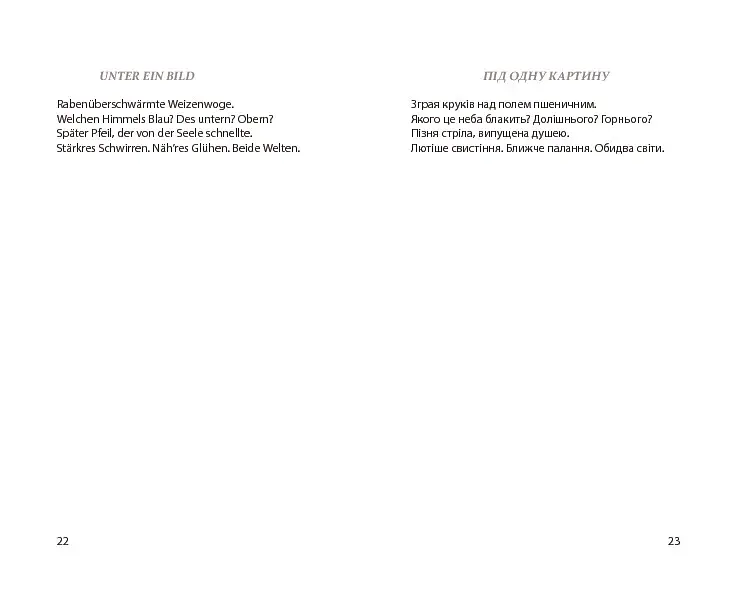 Мовні ґрати - фото 13