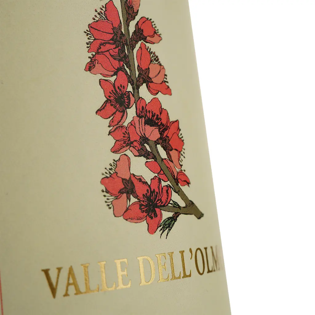 Вино Marziano Abbona Favorita Valle dell Olmo, белое, сухое, 12,45%, 0,75 л - фото 3