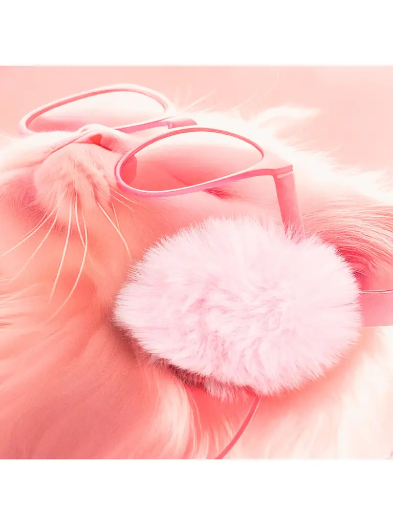 Щоденник шкільний YES тверда обкладинка Cat Dream (911689) - фото 2