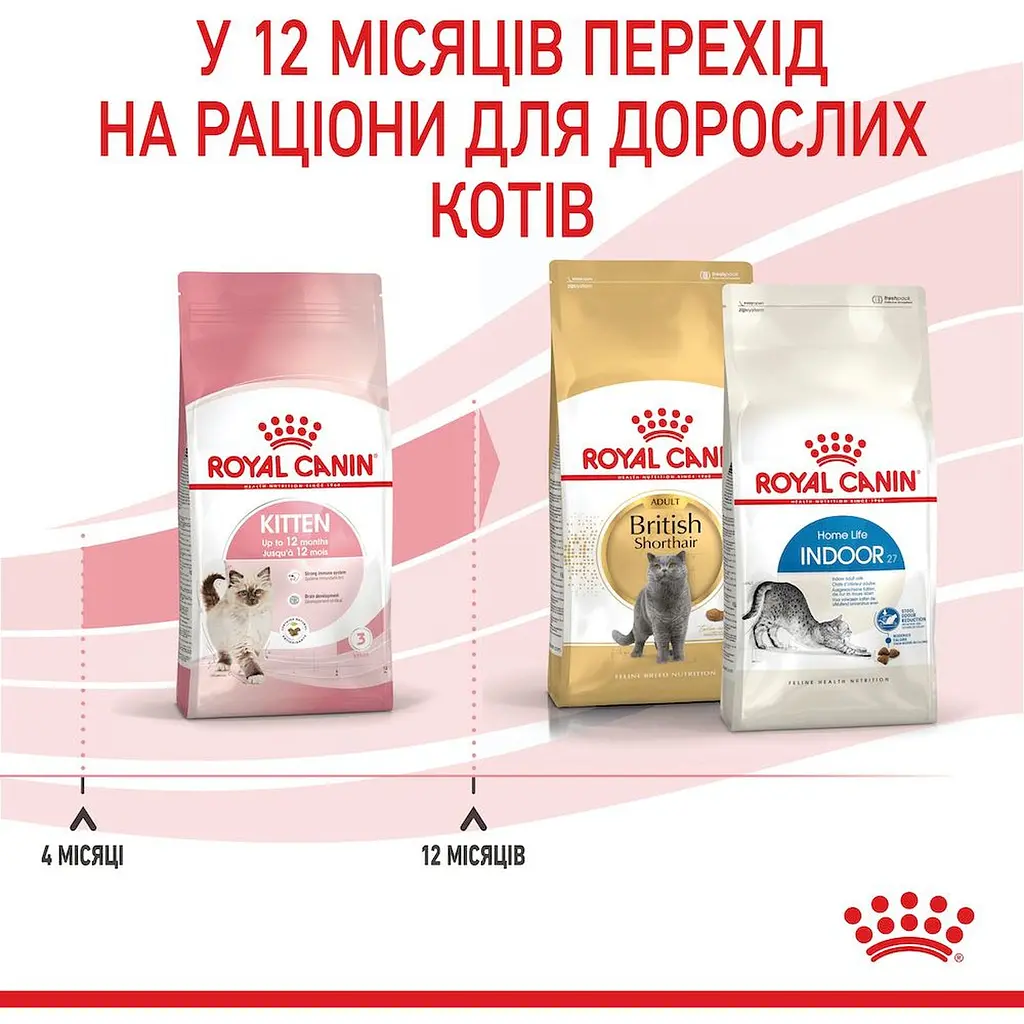 Сухой корм для котят Royal Canin Kitten мясо птицы и рис 0.4 кг - фото 6