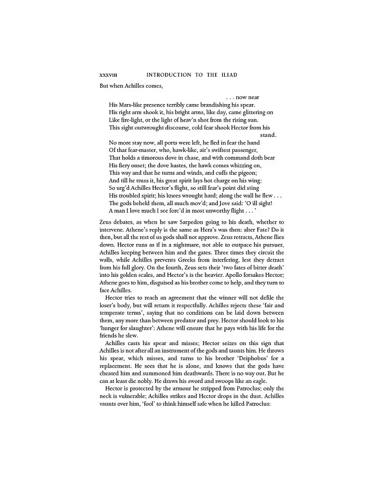 The Iliad and the Odyssey - фото 30