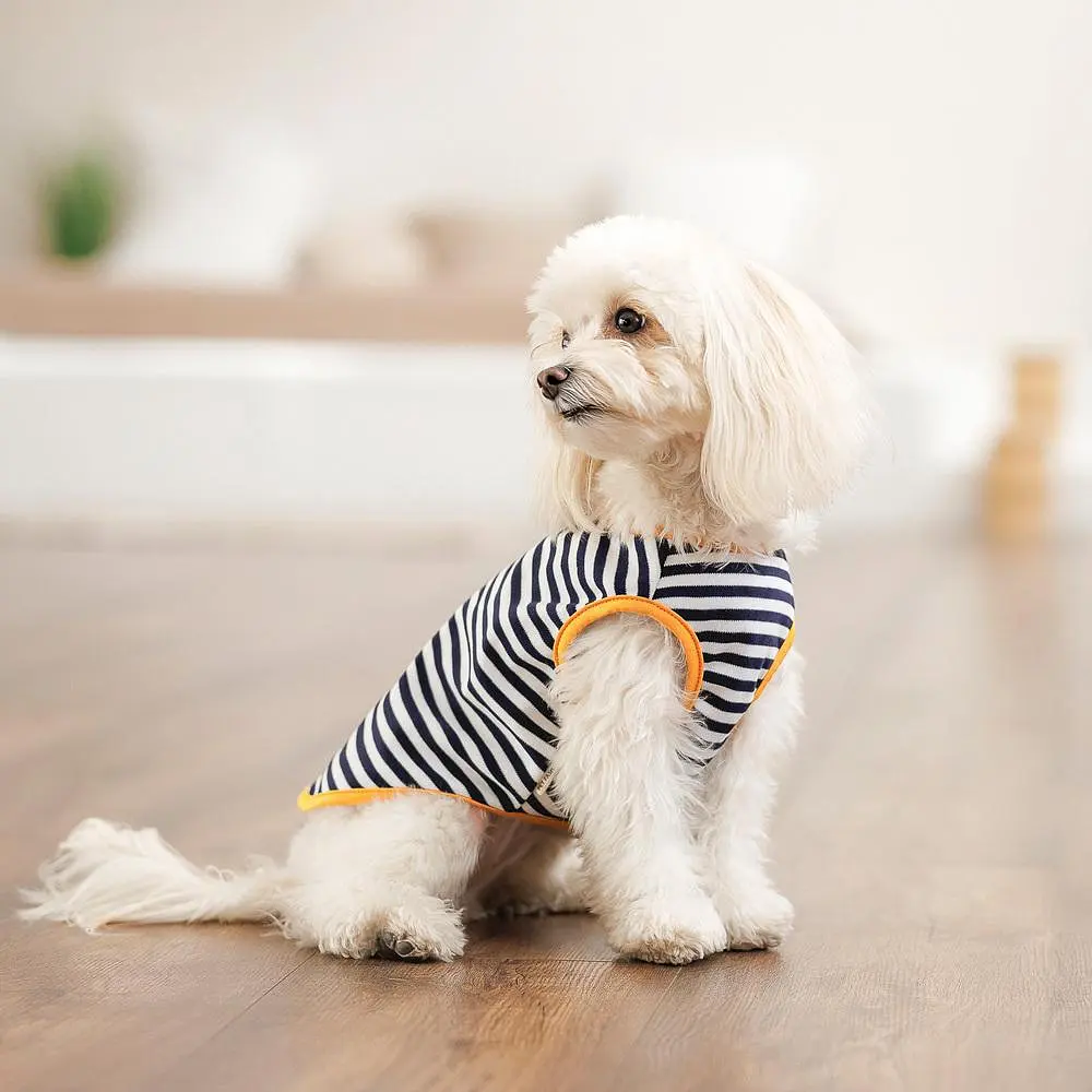 Борцовка Kale Pet Fashion для собак L смугаста - фото 4