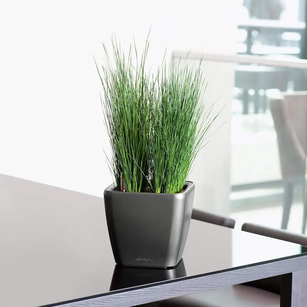 Вазон Lechuza Quadro Premium LS, 4 л, білий (16120) - фото 6