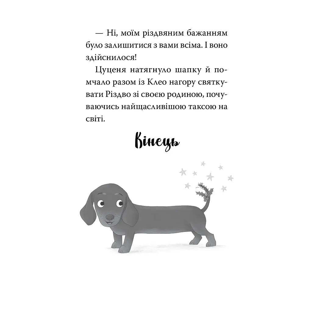 Книга Такса. Санта - Белла Свіфт Видавництво РМ (9786178603434) - фото 8