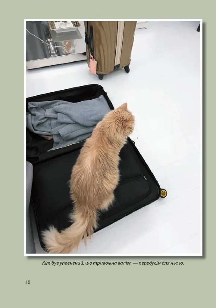 Гливкий туман Бучі - фото 9