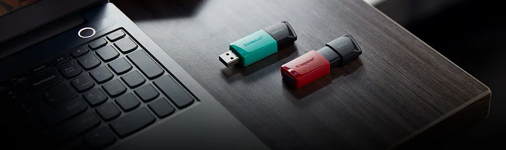 Накопитель 256GB USB 3.2 Type-A Gen1 DT Exodia M Kingston teh0013388 - фото 3