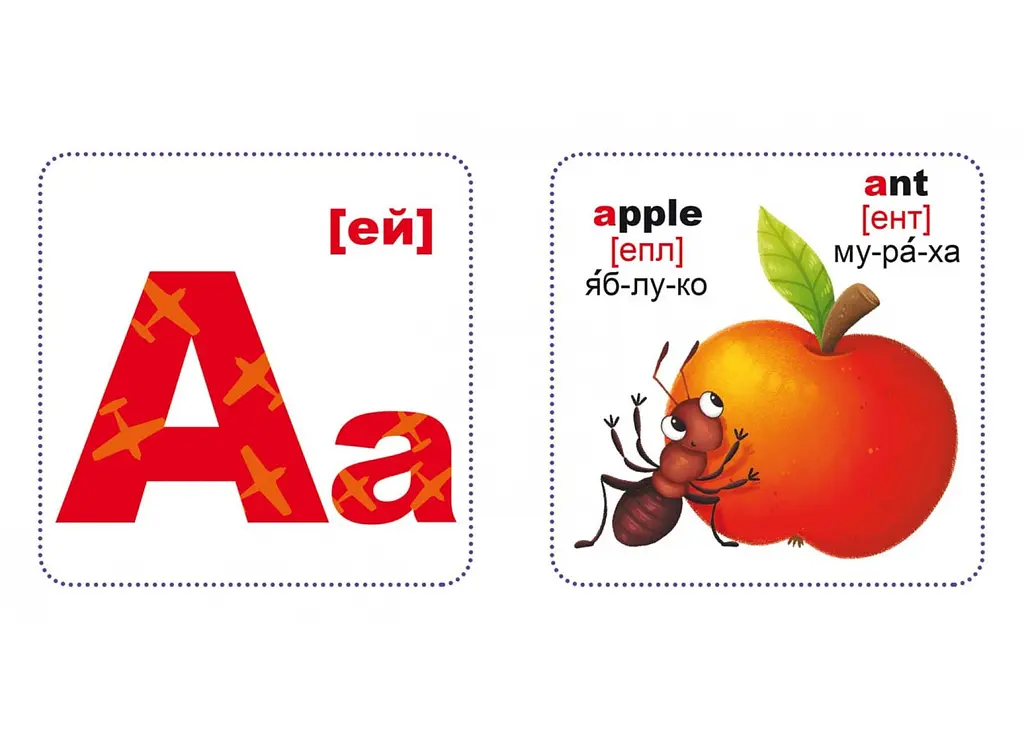 Розумні картки. Englisg ABC. 30 карток 9642 (9789669369642) shop (9789669369642) - фото 5