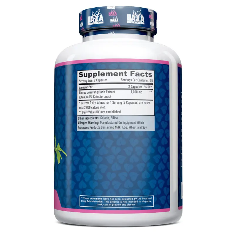Натуральна добавка Haya Labs Cissus 500 mg 100 капсул - фото 2