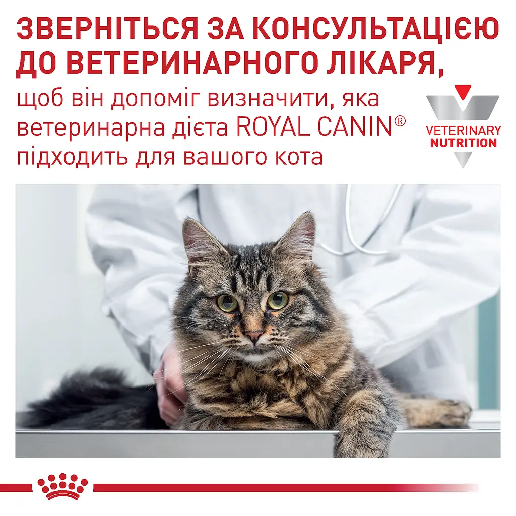Вологий корм для дорослих котів з хронічною нирковою недостатністью Royal Canin Renal with chicken Feline, з куркою, 85 г - фото 4