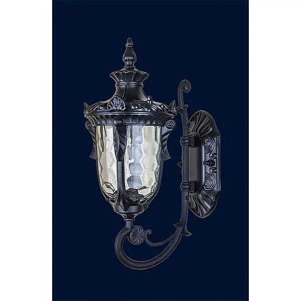 Вуличне класичне бра Levistella 760VDJ004-S-W BK - фото 2