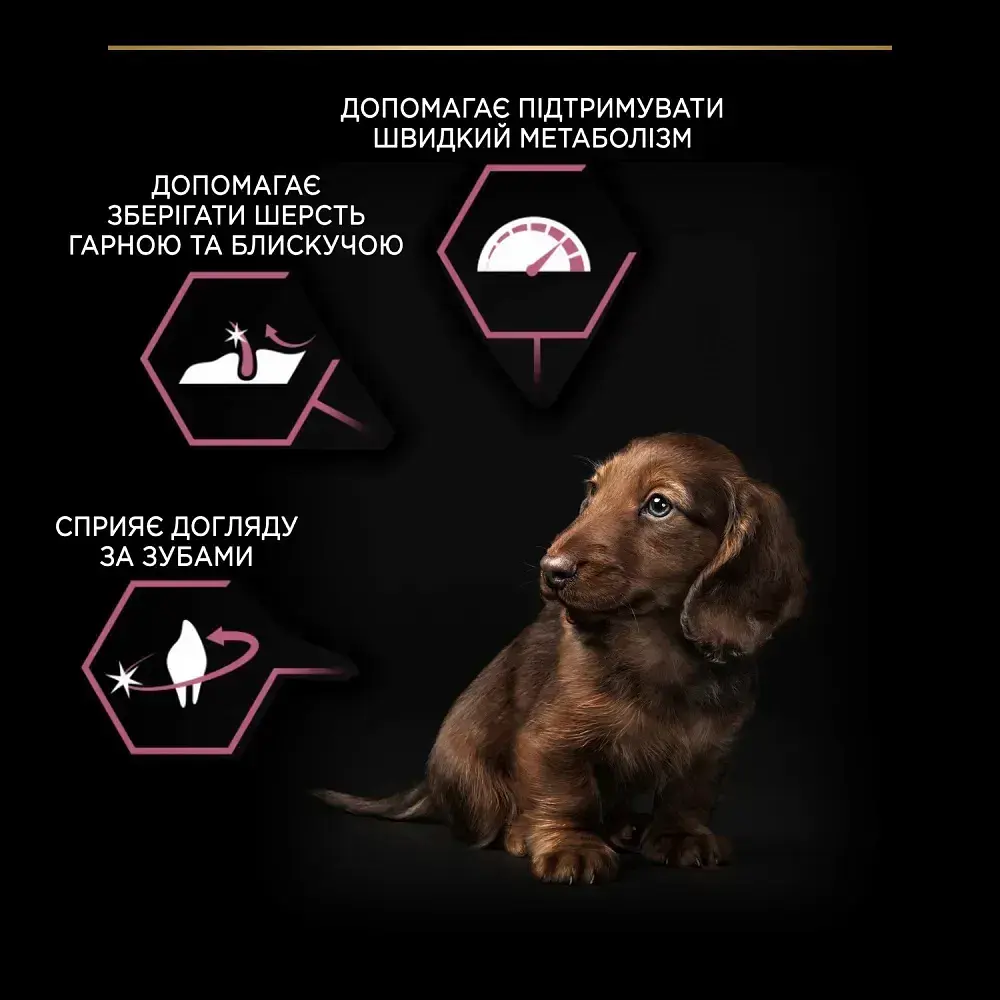 Сухий корм для цуценят дрібних порід із чутливою шкірою Purina Pro Plan Small & Mini Puppy Sensitive з лососем 3 кг 12272619 - фото 5