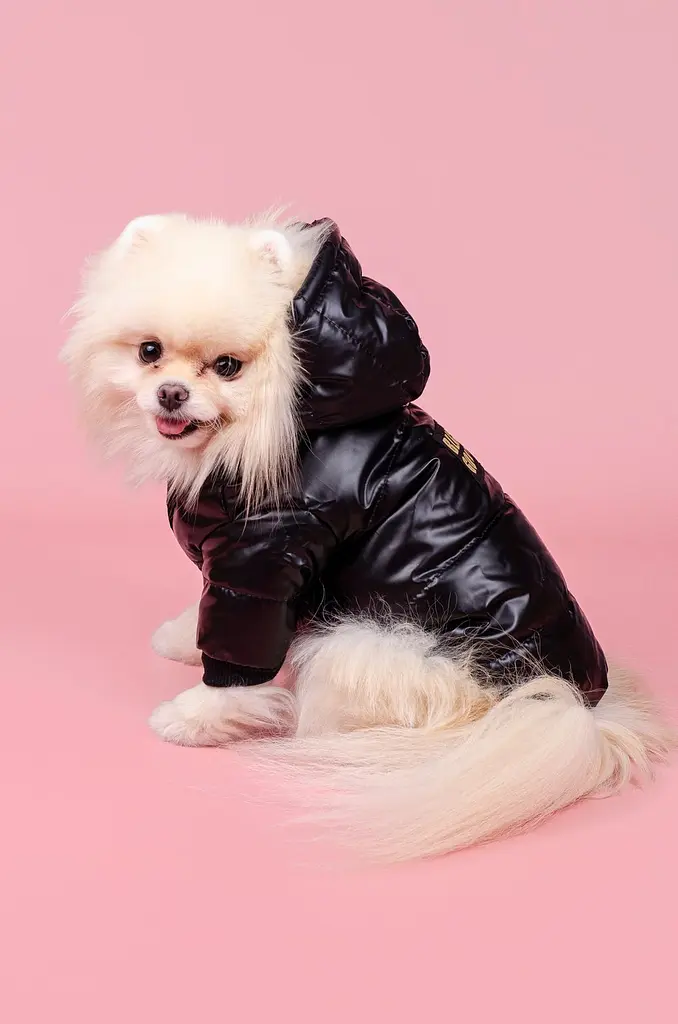 Куртка для собак HipiDog Black Gold M - фото 2
