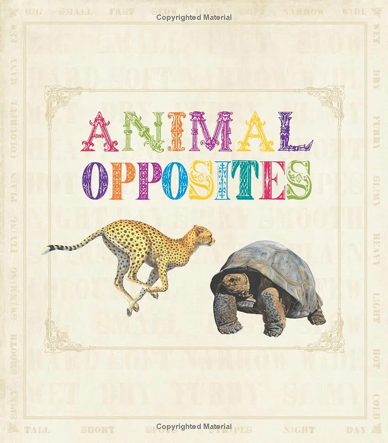 First Concept. Animal Opposites - фото 2