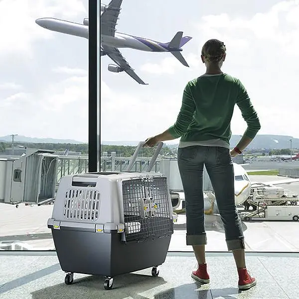 Stefanplast Gulliver Touring IATA Переноска для подорожей тварин вагою до 25 кг 80х58х62 см - фото 5