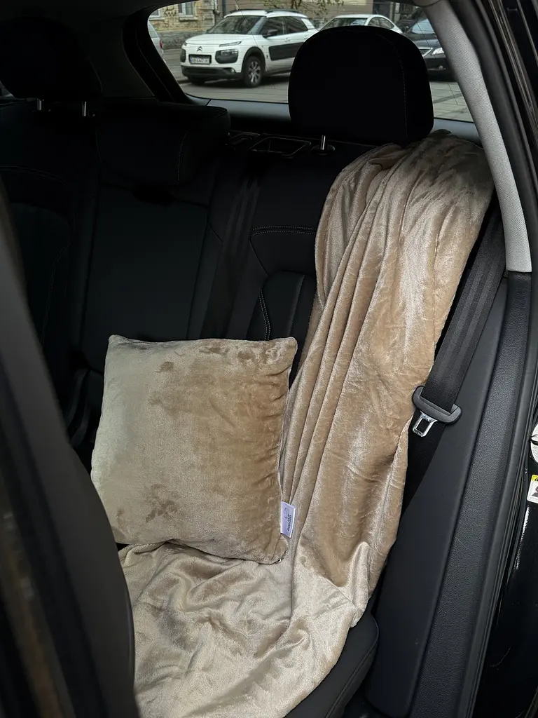 Набір для подорожі Ecotton 2 в 1 Подушка 40х40 плед 110х140 бежевий Beige (21673) - фото 6