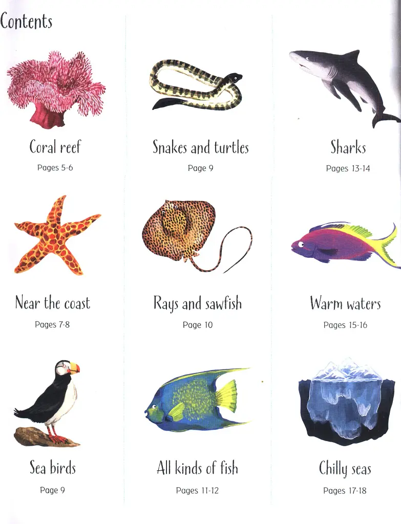 1000 Things Under the Sea - фото 3