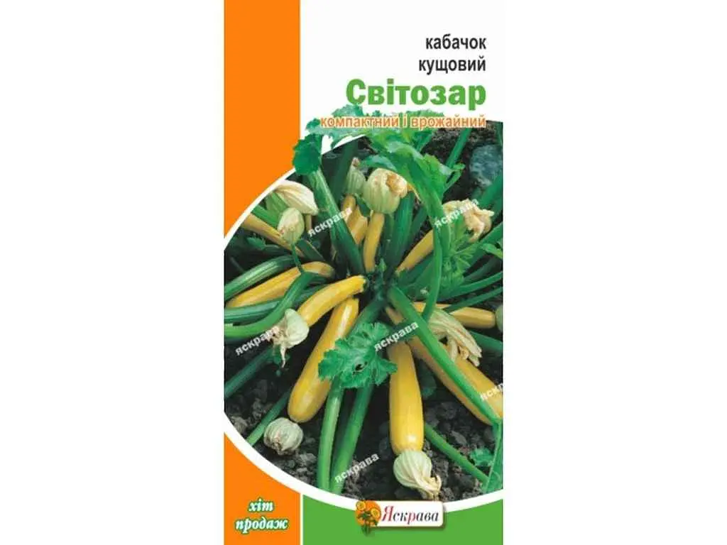 Кабачок ЯСКРАВА кущовий Світозар (20 пачок) 3 г