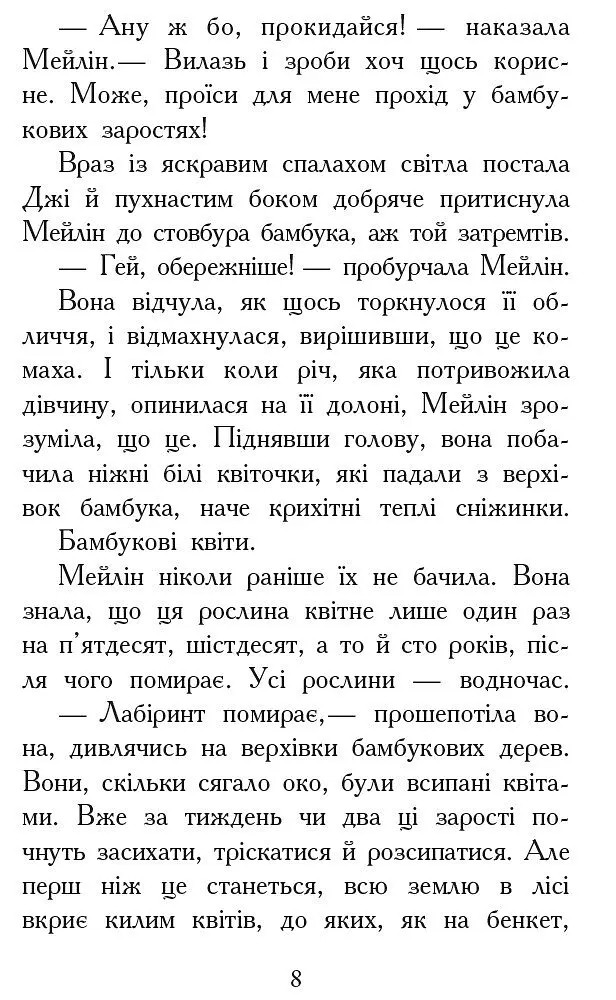 Звіродухи. Кревні узи. Книга 3 - Гарт Нікс (Ч685003У) - фото 6