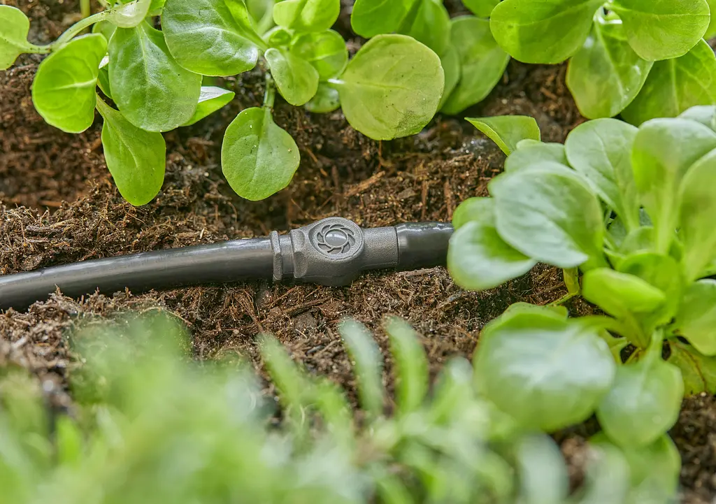 З'єднувач прямий Gardena Micro-Drip-System для шлангів 4,6 мм, 10 шт (13213-20) - фото 2