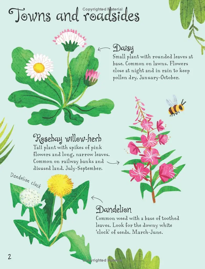 Flowers to Spot. Usborne Minis - фото 3