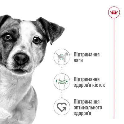Сухий корм Royal Canin Mini Adult для дорослих собак, з м'ясом птиці, 0,8 кг - фото 2