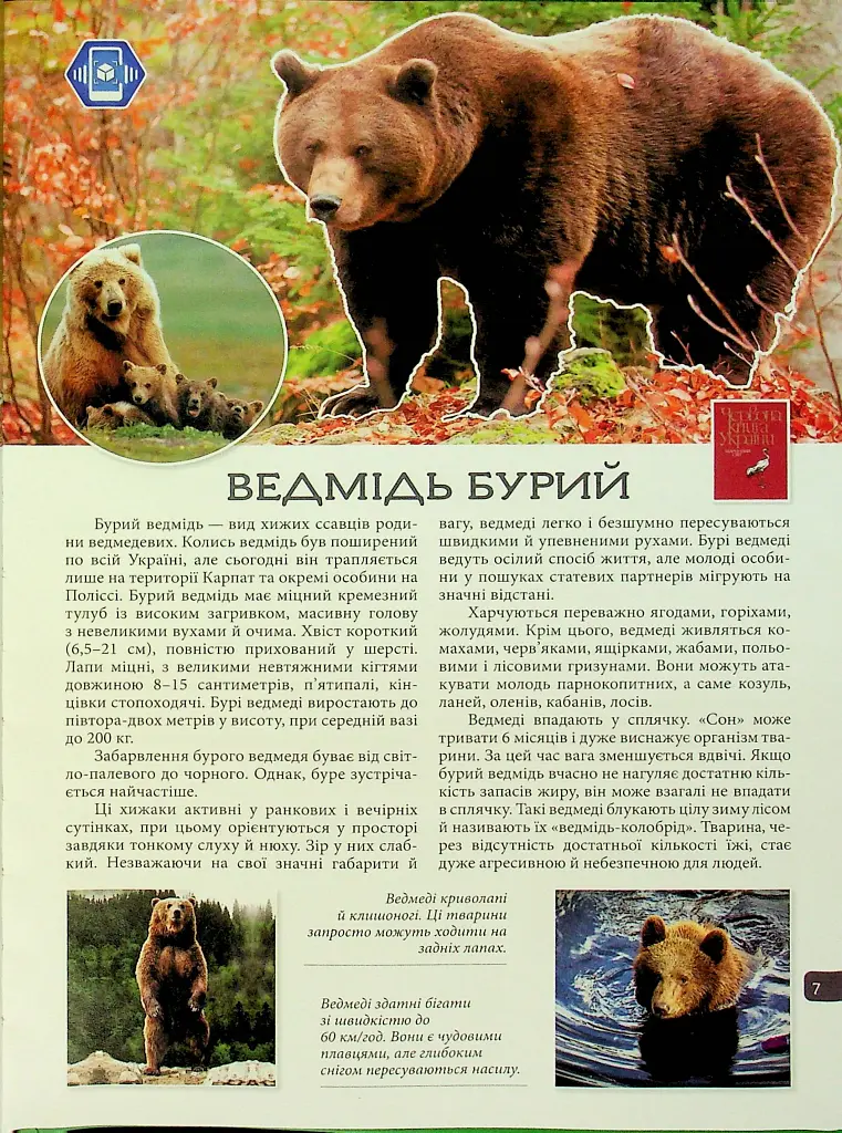 4D Книга Тварини України - фото 5