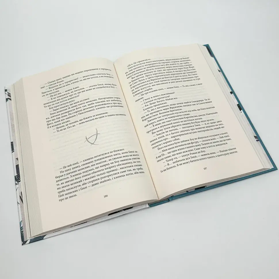 Ворони - Стівотер Меґґі | Nebo Booklab Publishing, книга українською, нова, тверда - фото 5