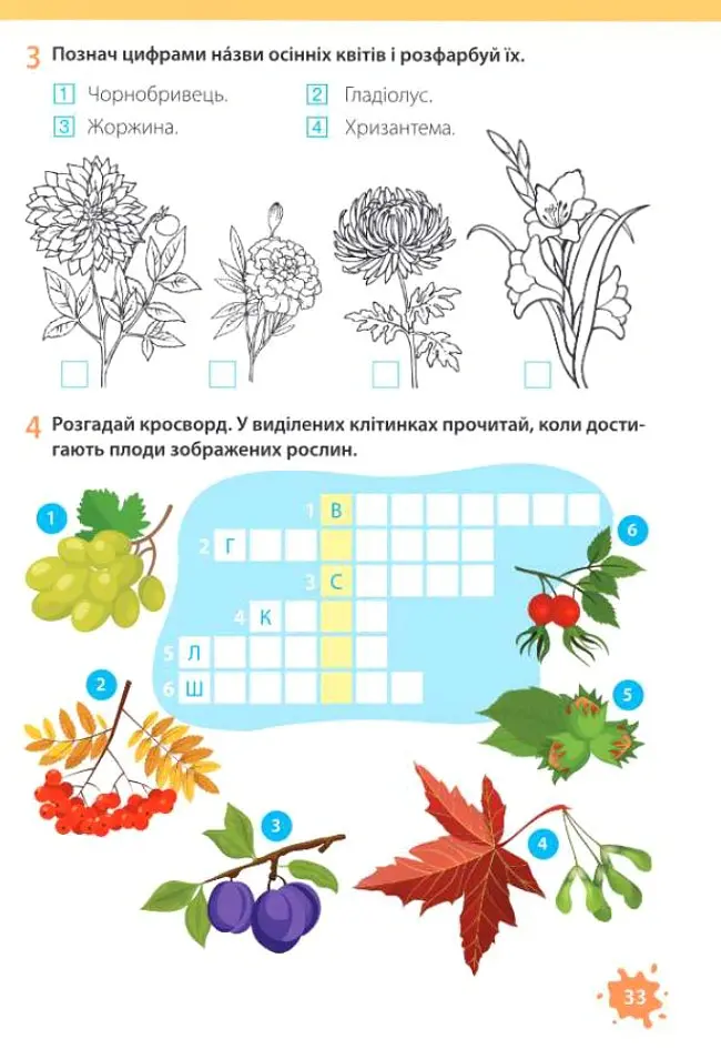 Я досліджую світ. Робочий зошит. 2 клас. Частина 1 (до підручника Т. Гільберг) - Лариса Мечник - фото 9