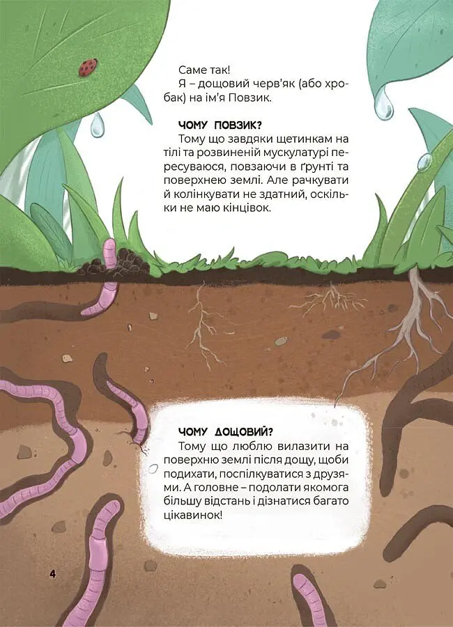 Дивовижні перетворення. Ким працюють рослини - Юлія Пеліхова - фото 5