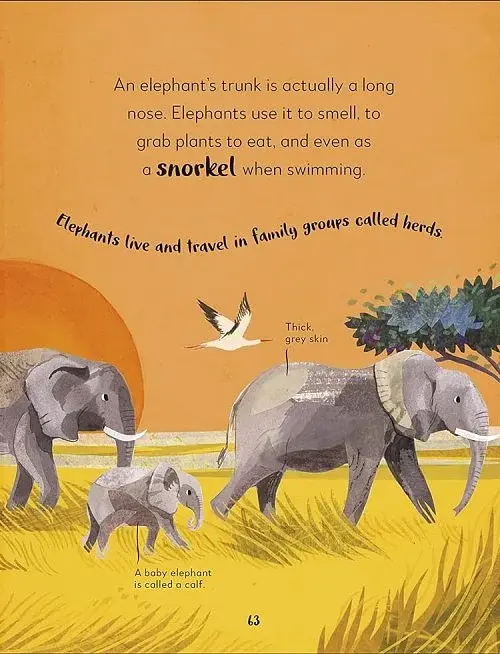 The Bedtime Book of Animals - фото 3