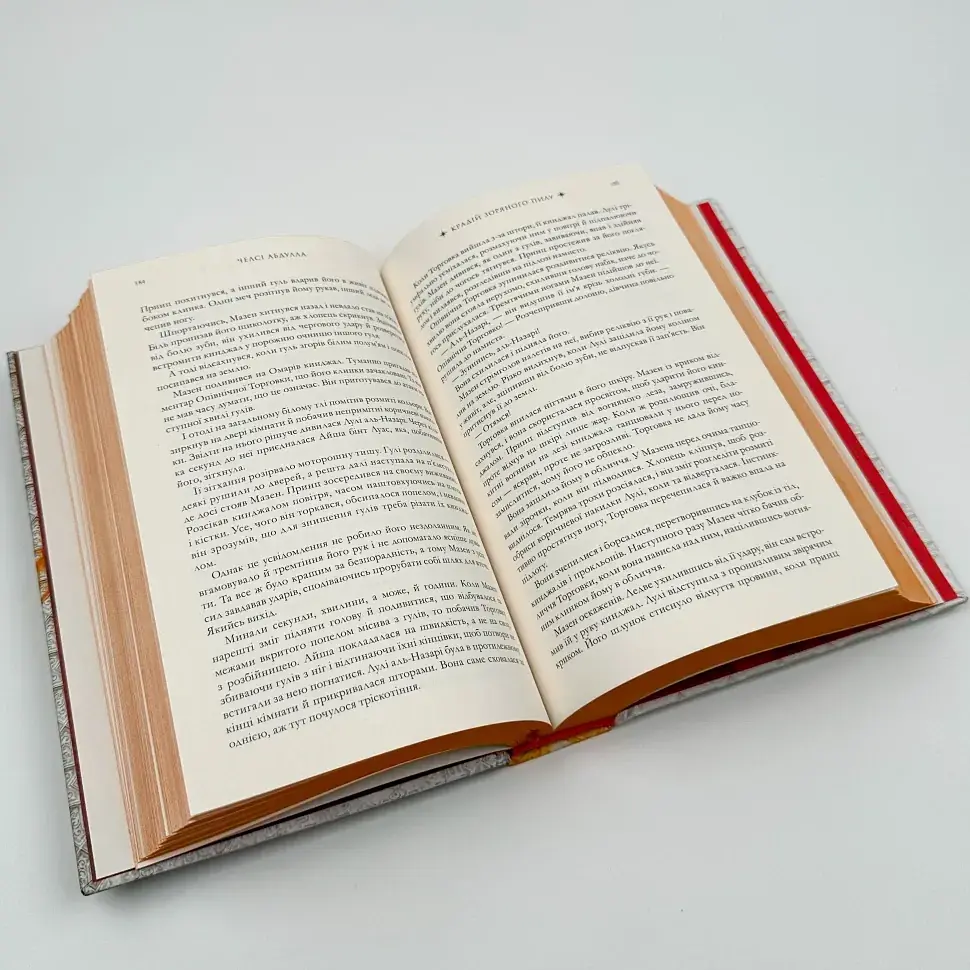 Крадій зоряного пилу - Челсі Абдулла | Артбукс, книга українською, нова, тверда - фото 3