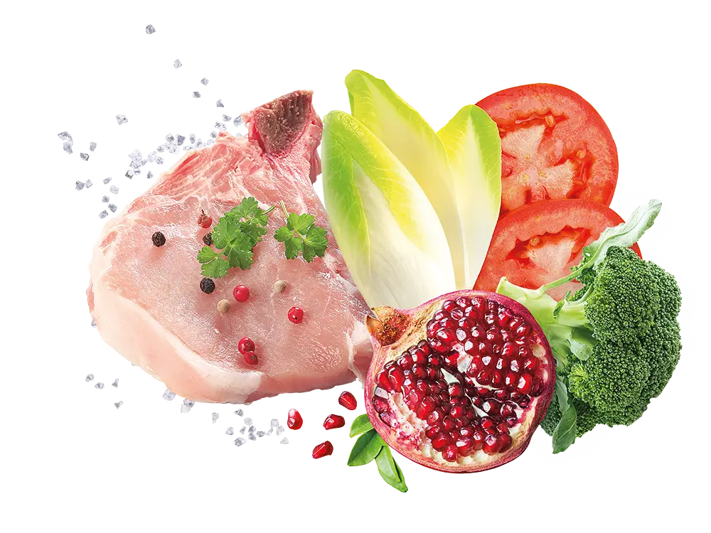 Корм Exclusion Adult Veal для взрослых собак всех пород с телятиной 400 г - фото 2
