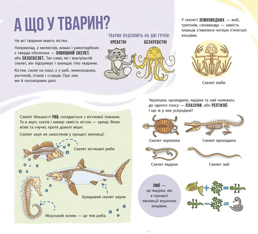 Скелети і кістки. Енциклопедія з віконцями - Ганна Булгакова - фото 3