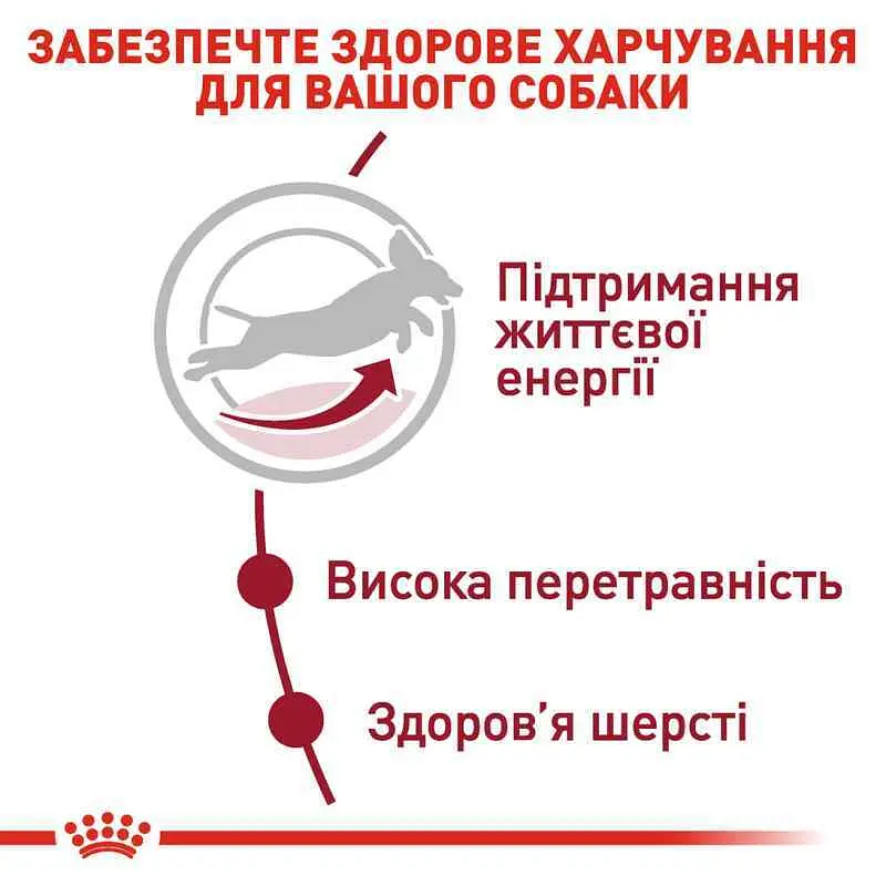 Сухий корм для старіючих собак Royal Canin Medium Adult 7+, 4 кг (3005040) - фото 5