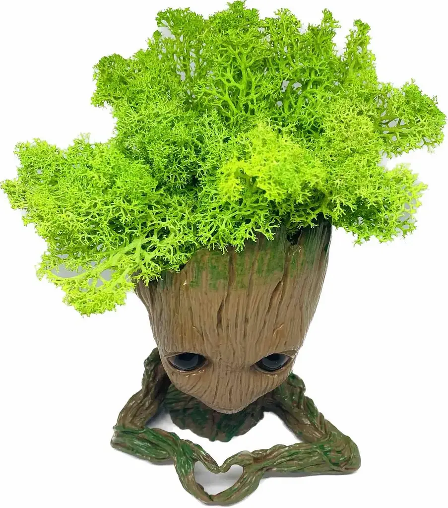 Кашпо горщик зі стабілізованим мохом Грут Groot G2 - фото 2