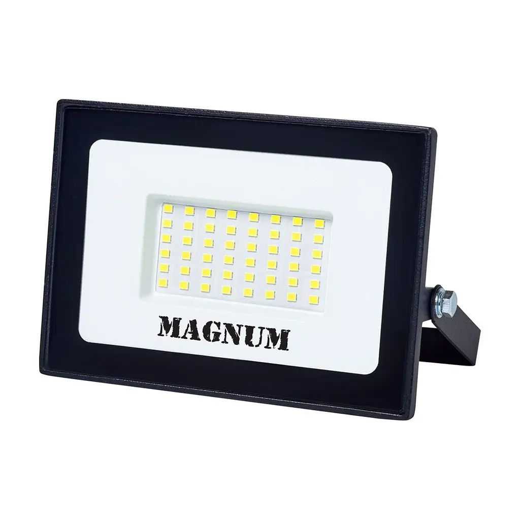 Прожектор MAGNUM FL12 ECO LED 30Вт slim 6500К IP65 (90018083)