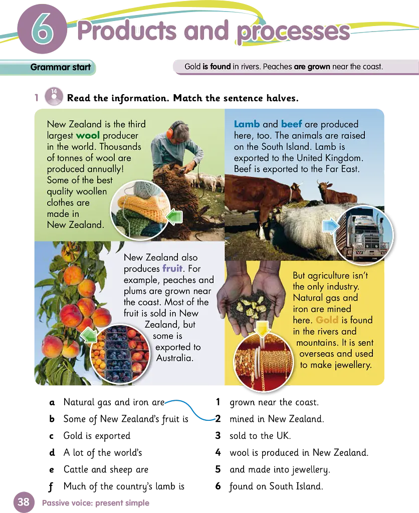 Grammar Goals. Level 5. Pupil's Book + eBook - Анджела Лланас - фото 2