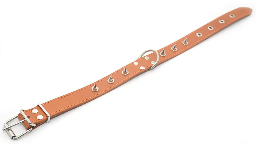 Нашийник для собак Zoo-hunt шкіряний з шипами рудий ОШ 4,5/54-65 см - фото 2