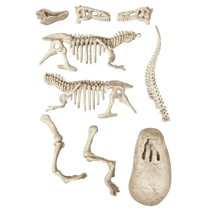 Научный набор Раскопки тиранозавра - Clementoni 50858 - фото 3