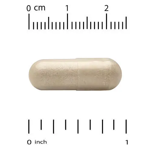 Ензими Complete Enzymes 90 Capsules CGN vit0006036 - фото 3