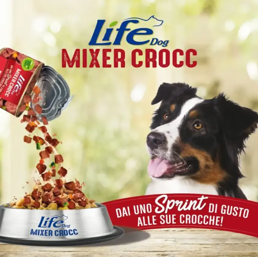 Вологий корм для собак LifeDog Mixer Crocc Manzo з яловичиною 150 г 24036 - фото 2