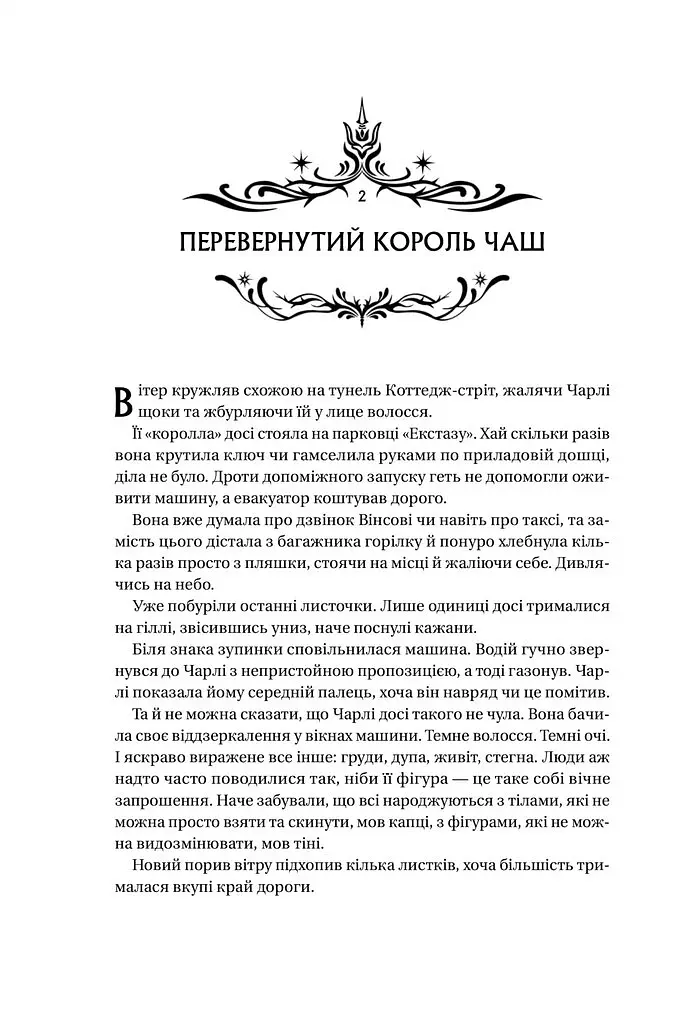 Книга ночі - Голлі Блек - фото 13