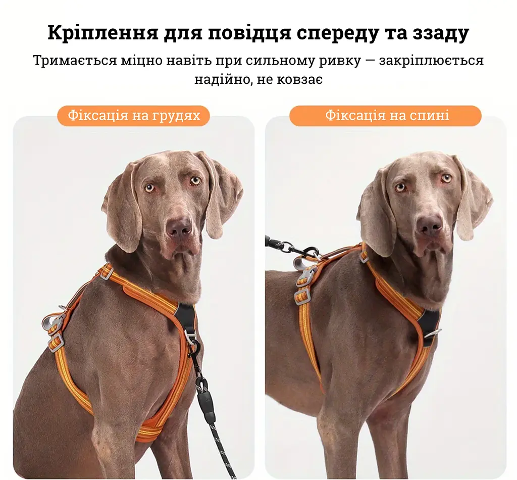 Шлея для собак Duomm No-Pull з повідцем, регульована та світловідбивна помаранчевий, L - фото 6
