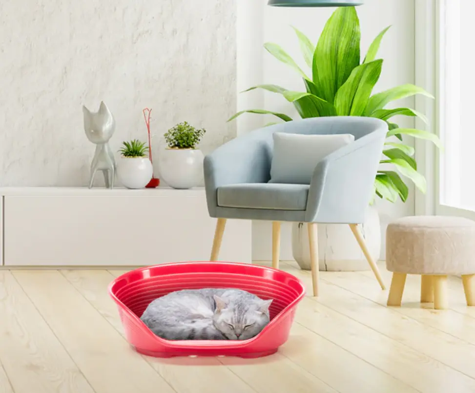 Пластиковий лежак для собак і котів Ferplast Siesta Deluxe 2 бордовий 49×36×17,5 см 70202929 - фото 3