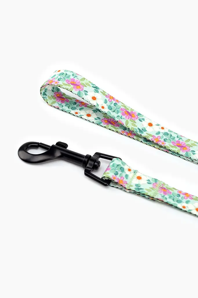 Повідець ТМ HIDOG Flawers mint green , ширина 20 мм (довжина 152 см) (2100102374011A)(SN) shop (2100102374011) - фото 3