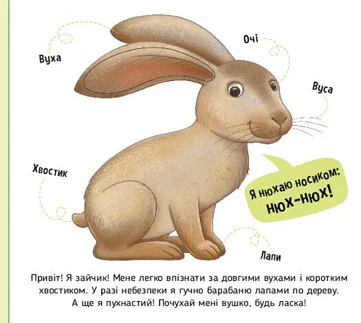 Лісові тварини. Познайомся і погладь - Ірина Потаніна - фото 3